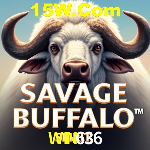 A Experiência Imersiva dos Cassinos Ao Vivo no WIN636